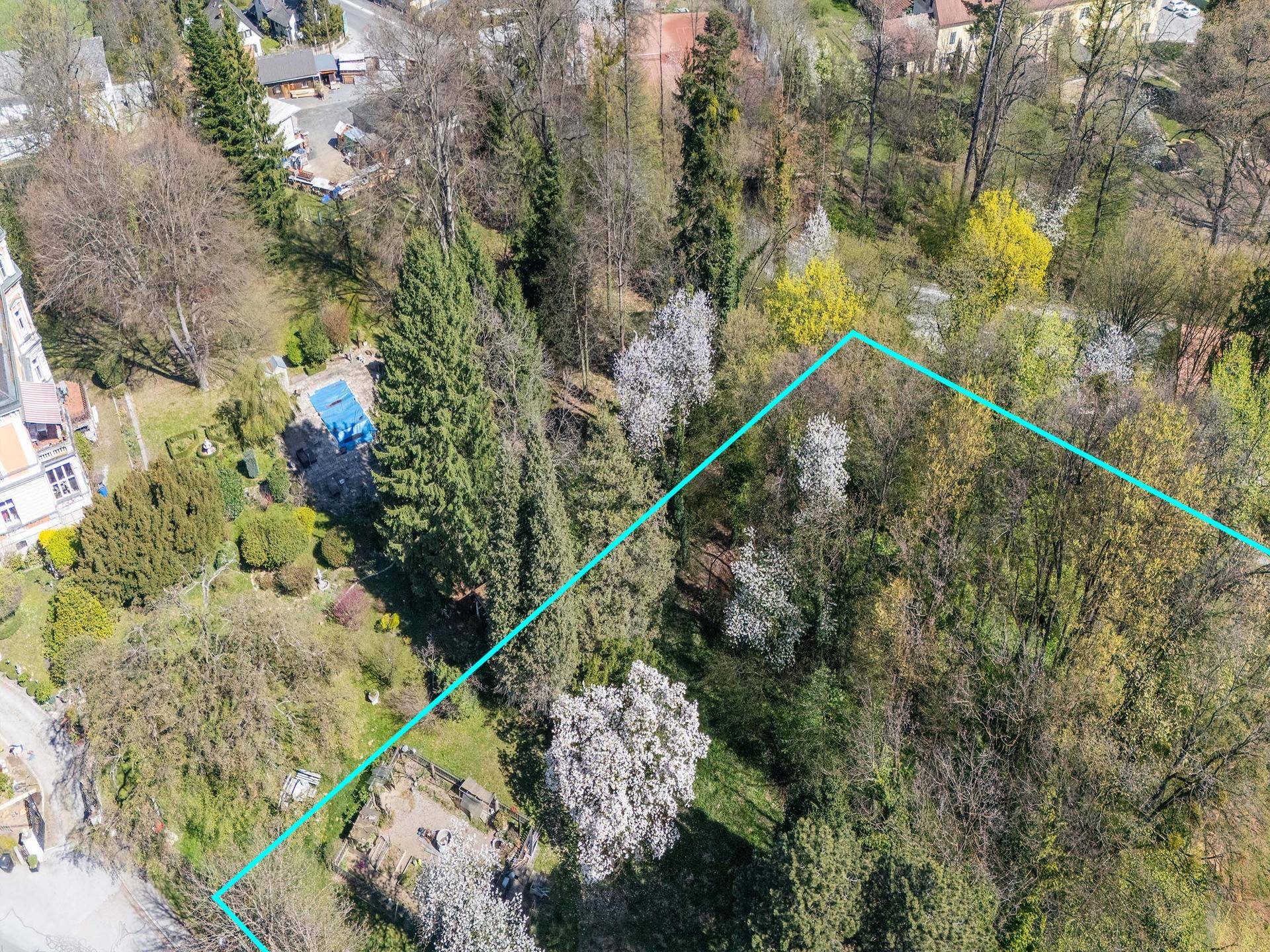 Luftaufnahme des bewaldeten Grundstücks mit blauer Umrandung, angrenzend an ein Nachbargrundstück mit Pool.