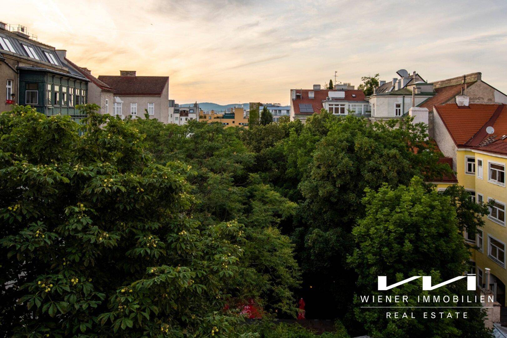 Malerischer Blick über grüne Baumwipfel und die Dächer der umliegenden Gebäude bei Sonnenuntergang.