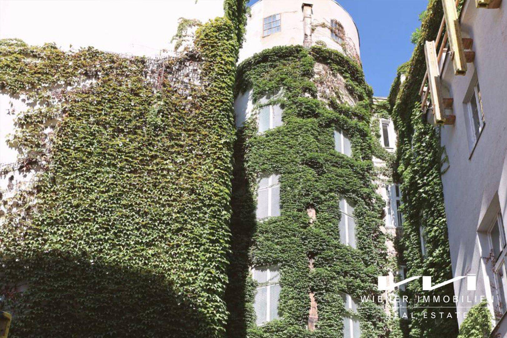 Historische Fassade eines Gebäudes, vollständig mit dichtem Efeu bewachsen, unter blauem Himmel.