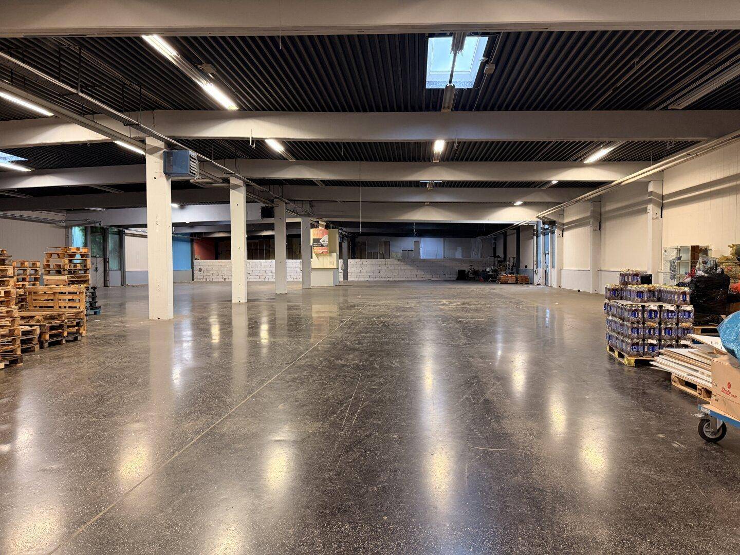 Weitläufiger Lagerbereich mit Betonboden, hohen Decken und Paletten am Rand, gut beleuchtet.