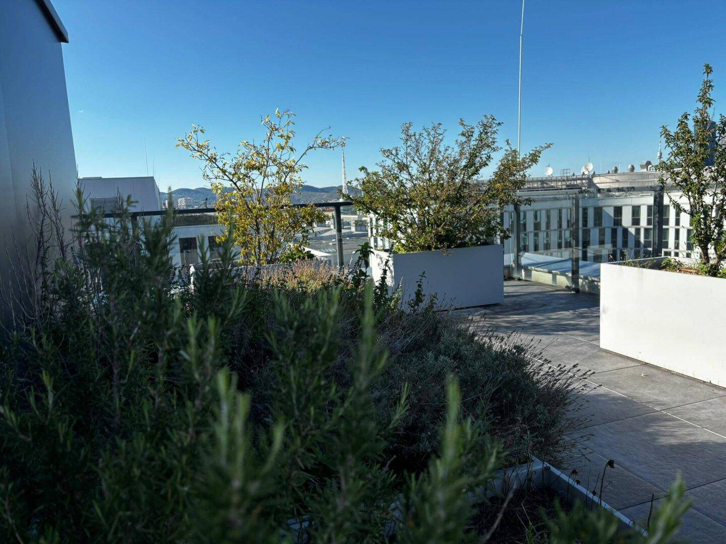Dachterrasse mit Bepflanzung und weitem Blick über die Stadt bis zu den Bergen.