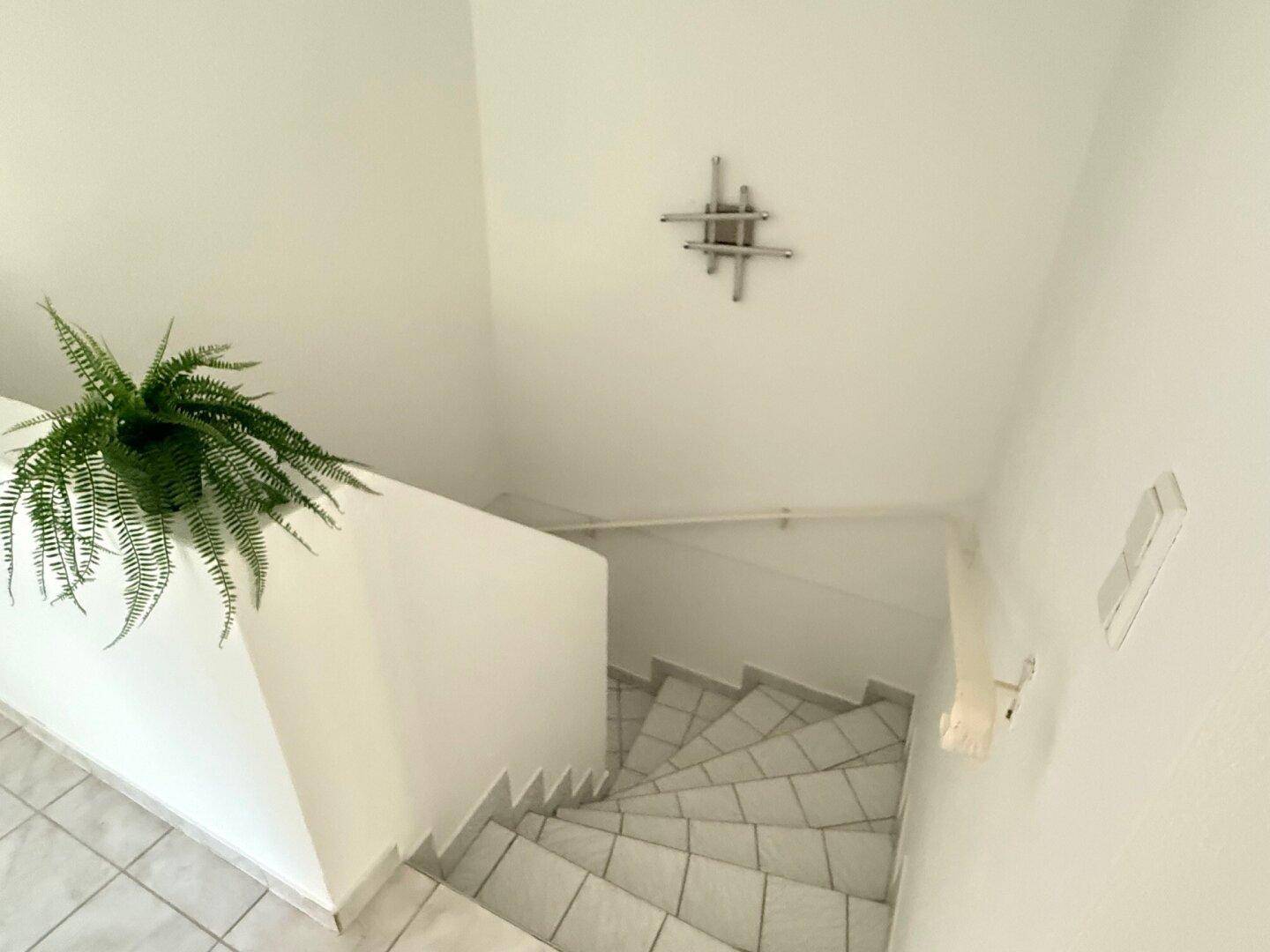 Kellertreppe