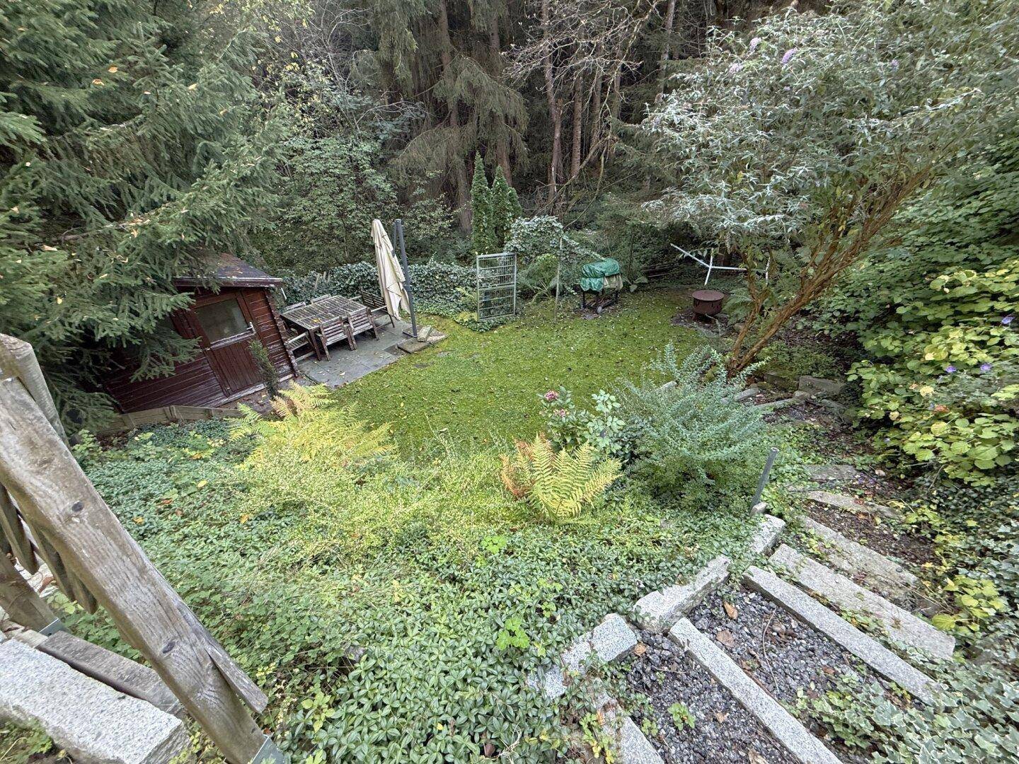 Naturbelassener Garten mit Rasenfläche, Sitzbereich und Gartenhaus, umgeben von dichtem Baumbestand.