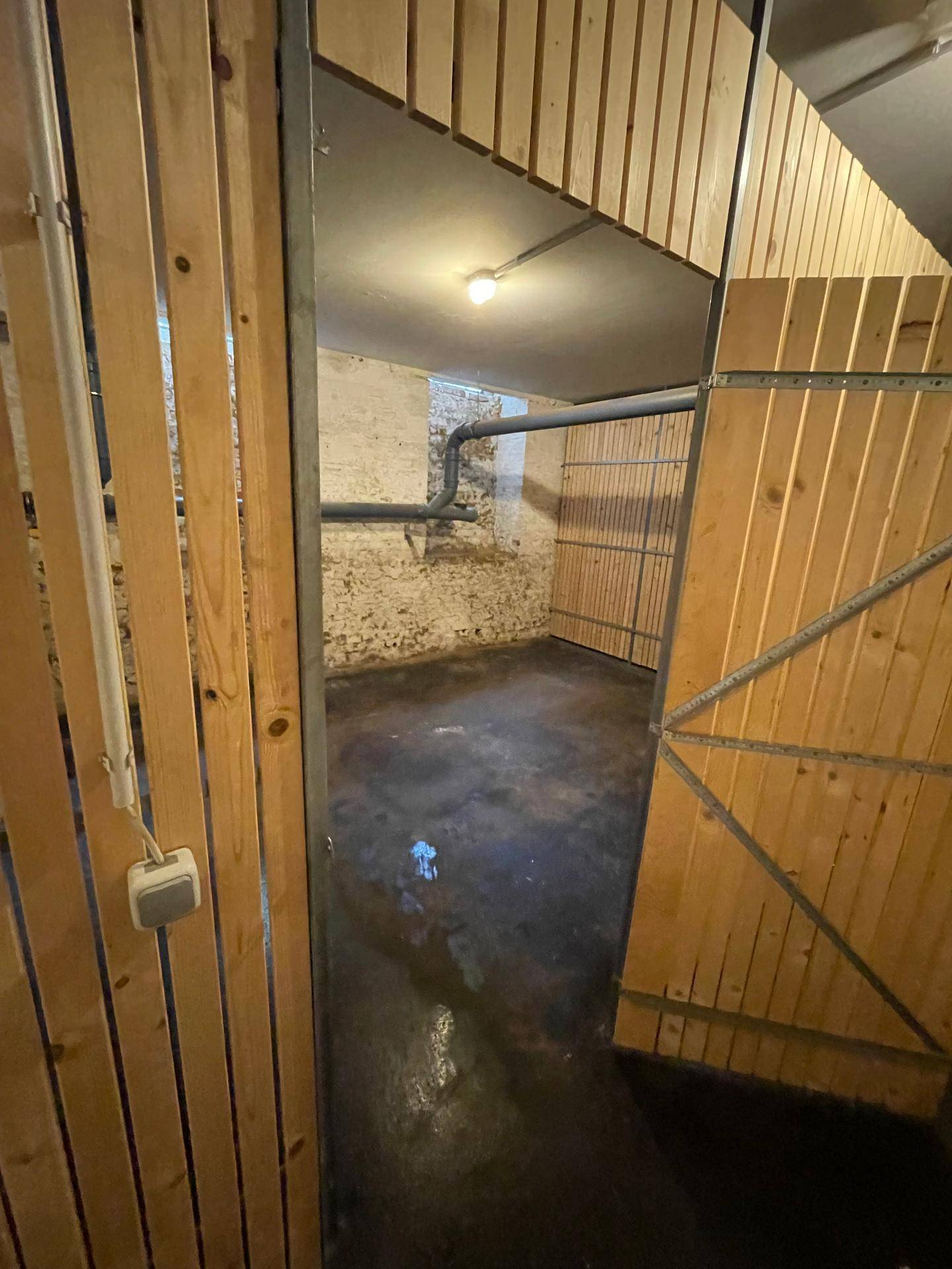 Eingangsbereich eines Kellerraums mit Holztüren und Blick auf unverputzte Ziegelwände und den Betonboden.
