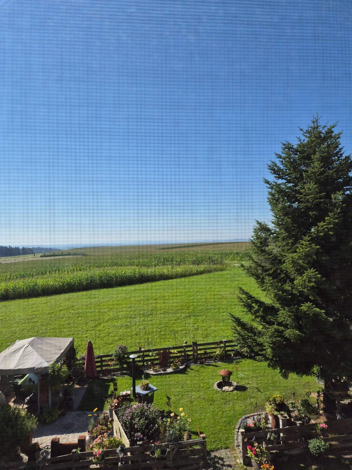 Blick auf einen gepflegten Garten mit angrenzenden Feldern und weitem Horizont unter blauem Himmel.