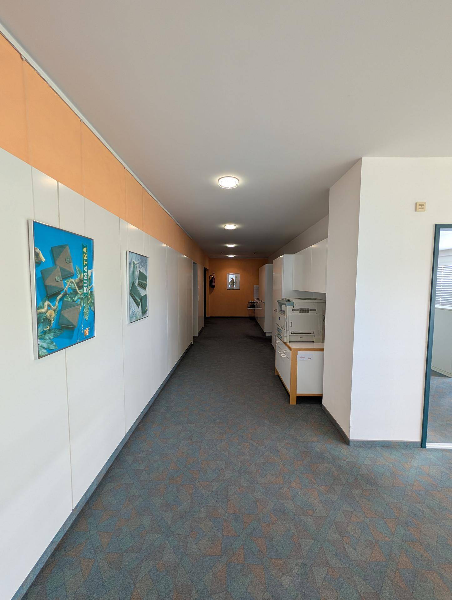 Langer Bürogang mit Teppichboden, weißen Wänden und orangefarbenen Akzenten, modern und funktional.