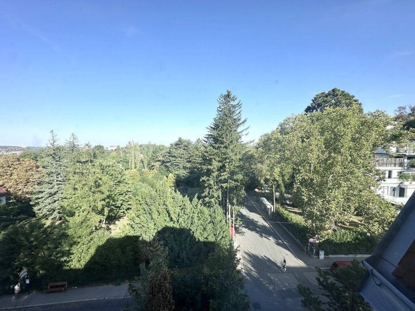 Panoramablick von oben auf eine von Bäumen gesäumte Straße mit viel Grün und Fernsicht.