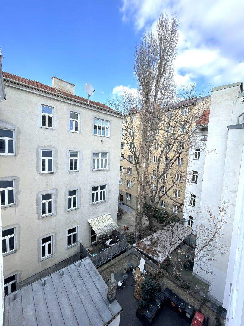 Blick in einen Innenhof mit hohen Bäumen und umliegenden Wohngebäuden.