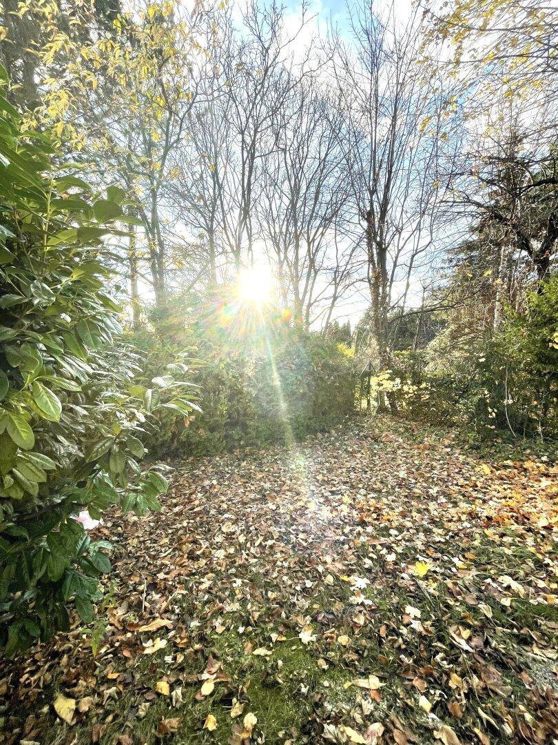Herbstlicher Gartenbereich mit vielen gefallenen Blättern und sonnigem Lichteinfall durch Bäume.