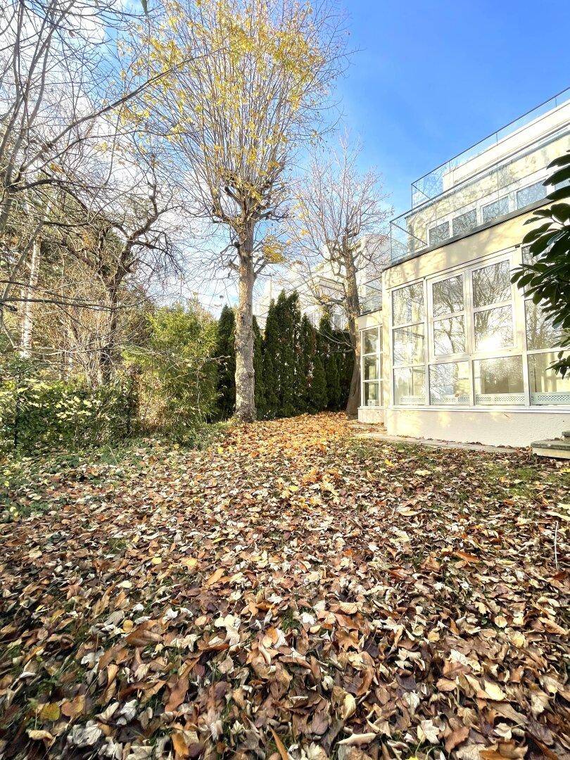 Gartenbereich mit Herbstlaub neben dem Gebäude, das große Fensterfronten aufweist.