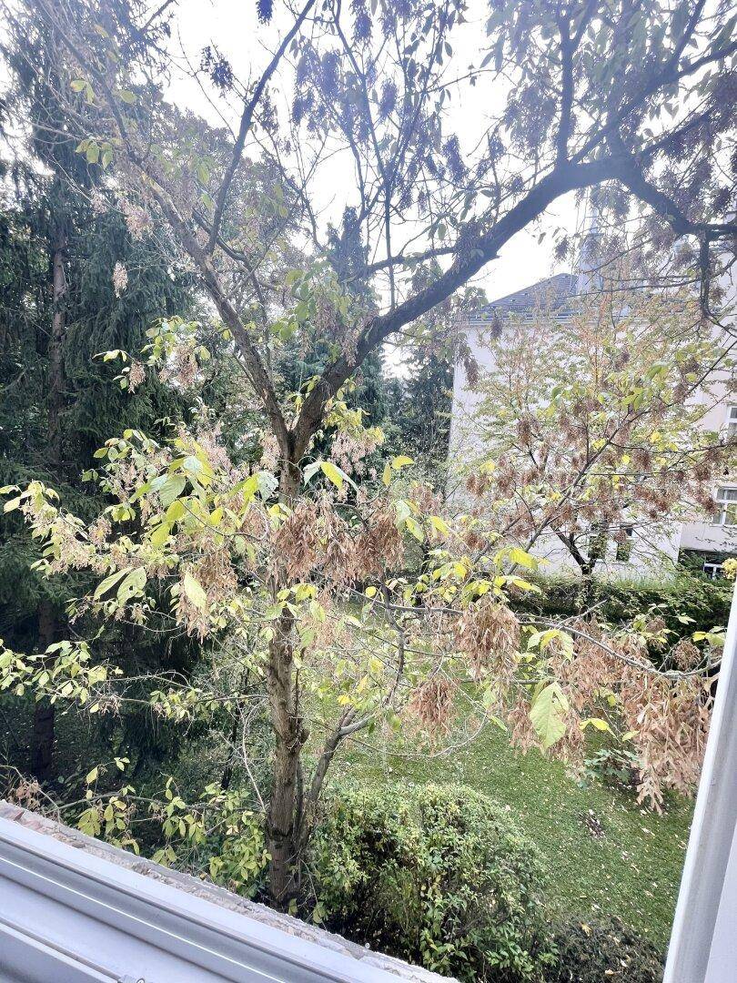 Blick aus dem Fenster auf einen grünen Gartenbereich mit Bäumen und Sträuchern.