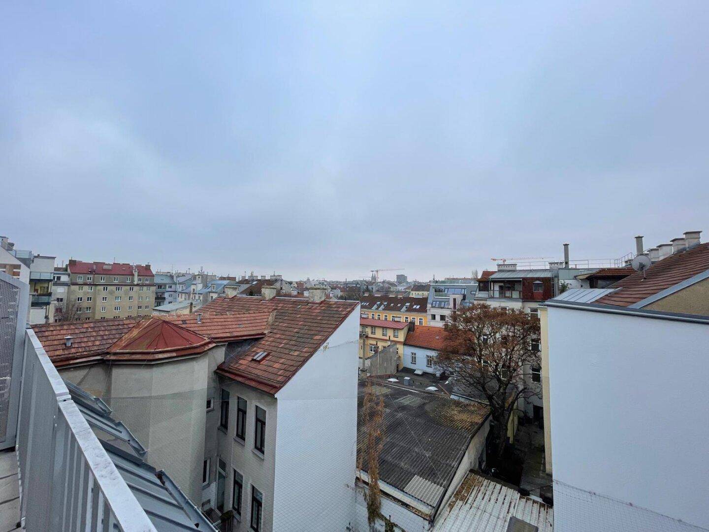 Panoramablick über die Dächer der Stadt unter einem bewölkten Himmel.
