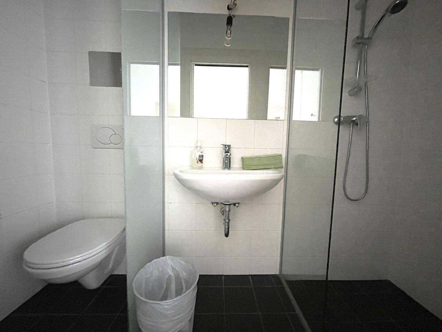 Modernes Badezimmer mit Dusche, Wand-WC und Waschbecken, ausgestattet mit dunklen Bodenfliesen.