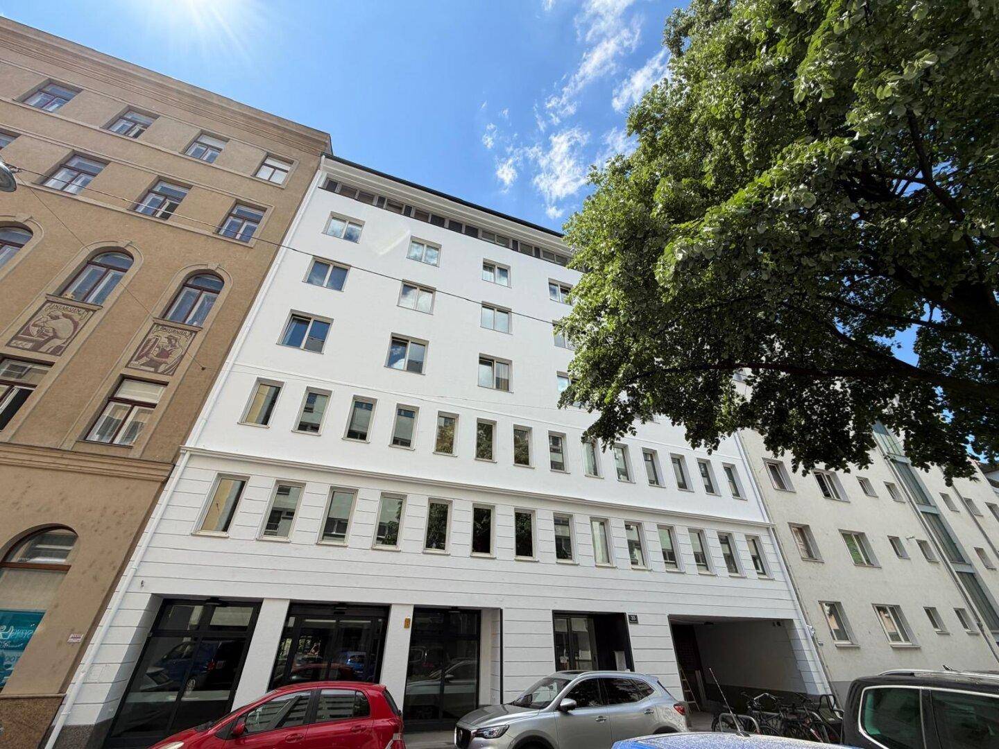 Gesamtansicht des modernen Gebäudes mit weißer Fassade unter blauem Himmel und Baum.