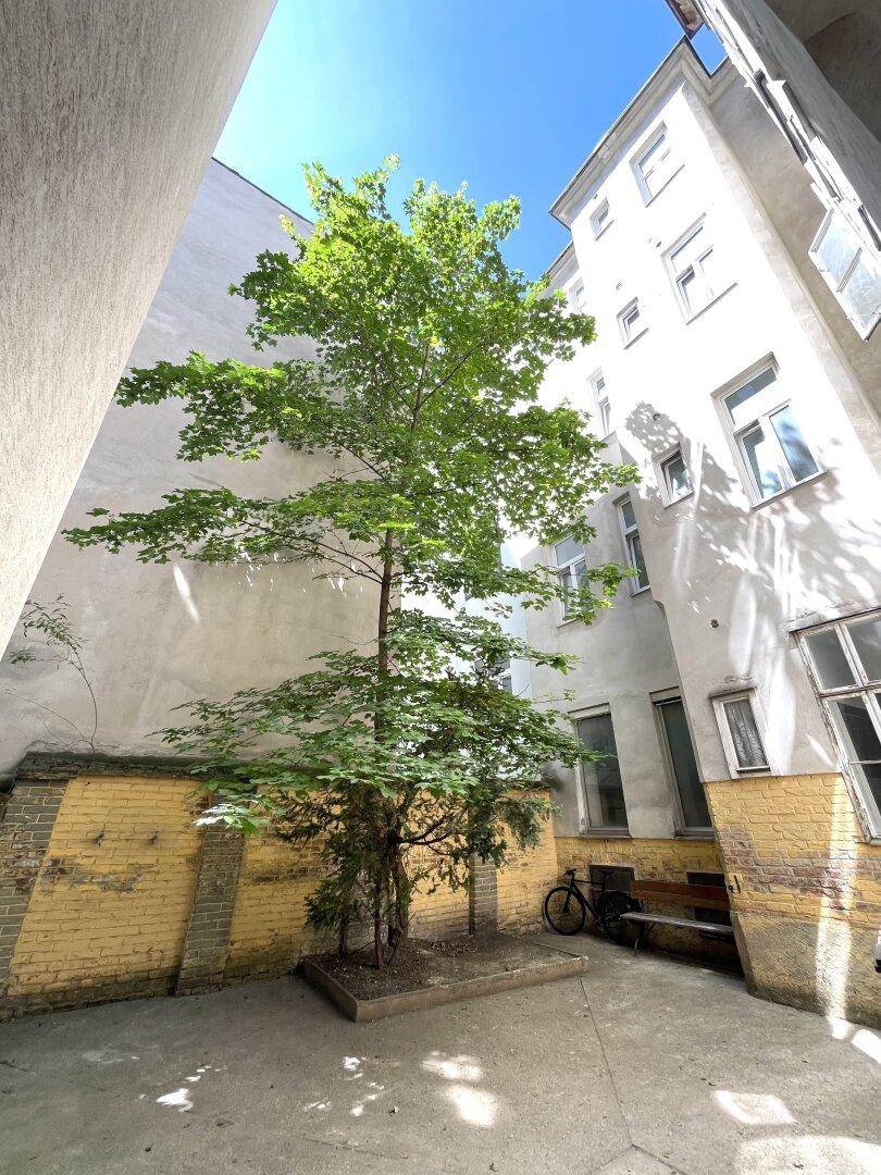 Ruhiger Innenhof mit einem Baum, einer Bank und umgebenden Gebäudefassaden.