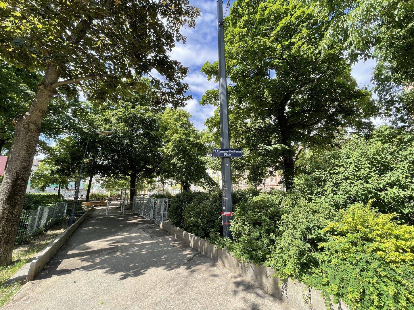 Grüner Parkweg umgeben von hohen Bäumen und Büschen, ideal für Spaziergänge in der Natur.
