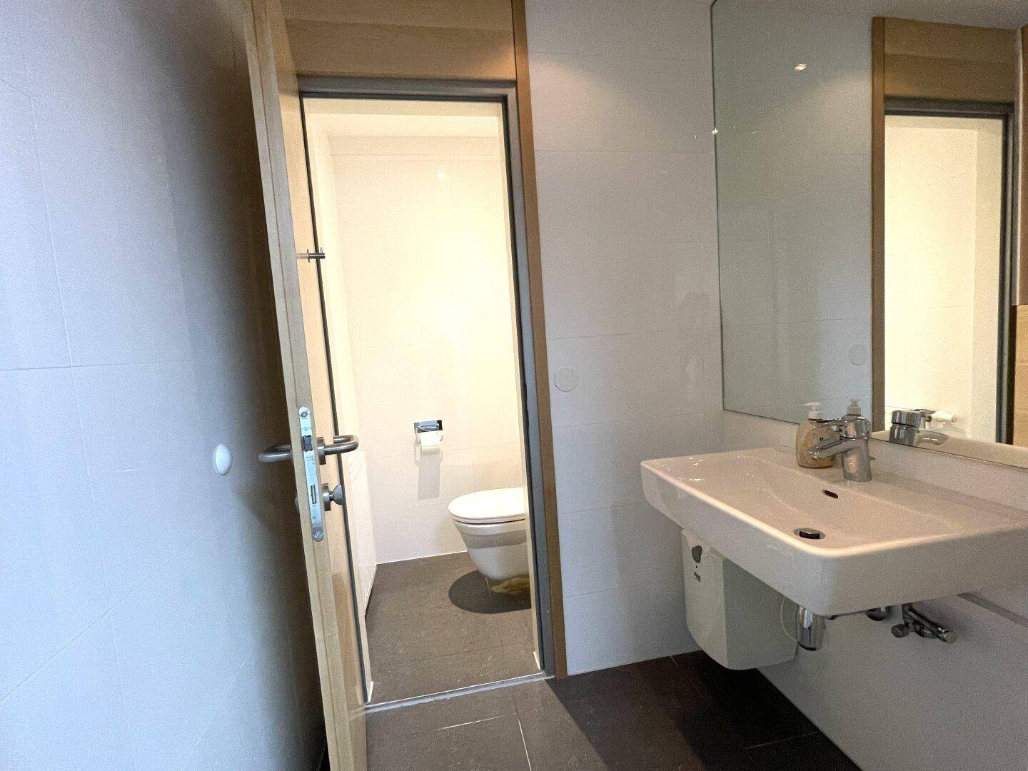 Modernes Badezimmer mit weißem Waschbecken, großem Spiegel und Toilette im Hintergrund.
