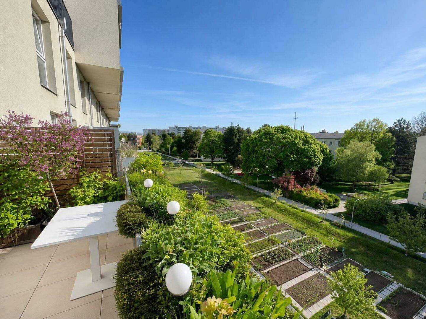 Grüne Terrasse mit Blick auf Gemeinschaftsgärten und die umliegende Bebauung.