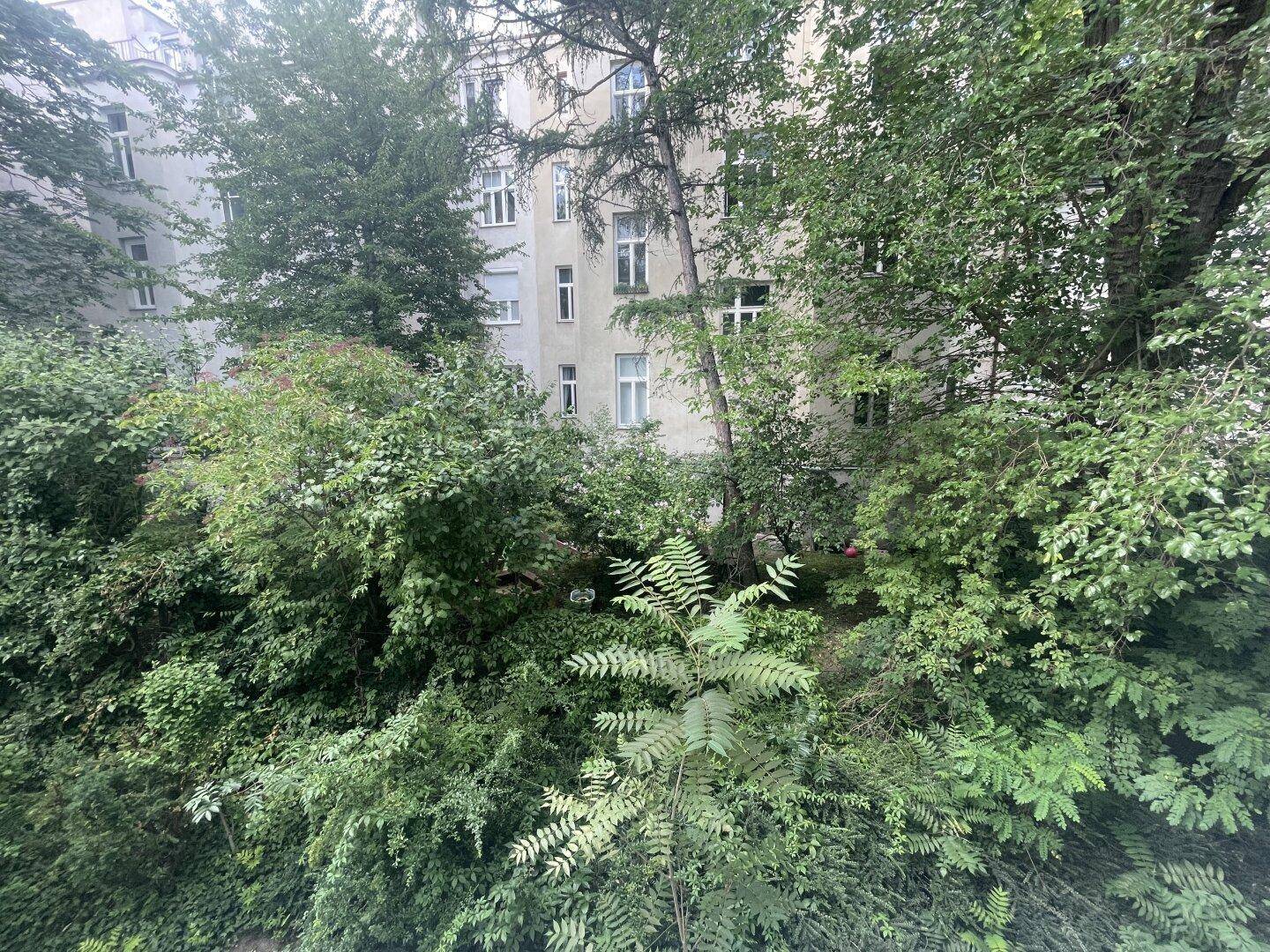 Blick ins Grüne mit dichtem Baumbestand und dahinterliegenden Gebäuden, eine ruhige Aussicht.