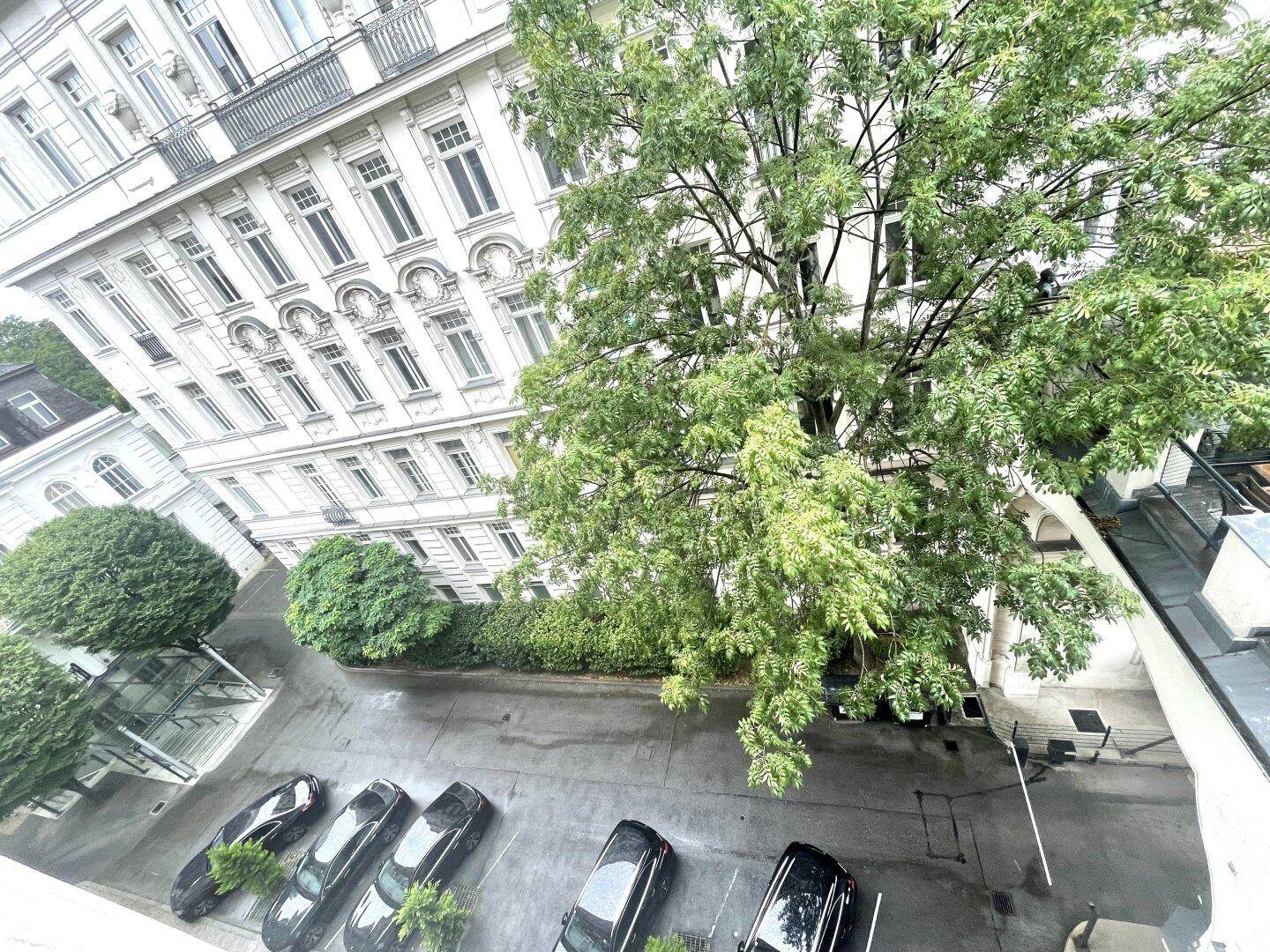 Blick von oben auf eine Straße mit parkenden Autos, Bäumen und die Fassade eines historischen Gebäudes.