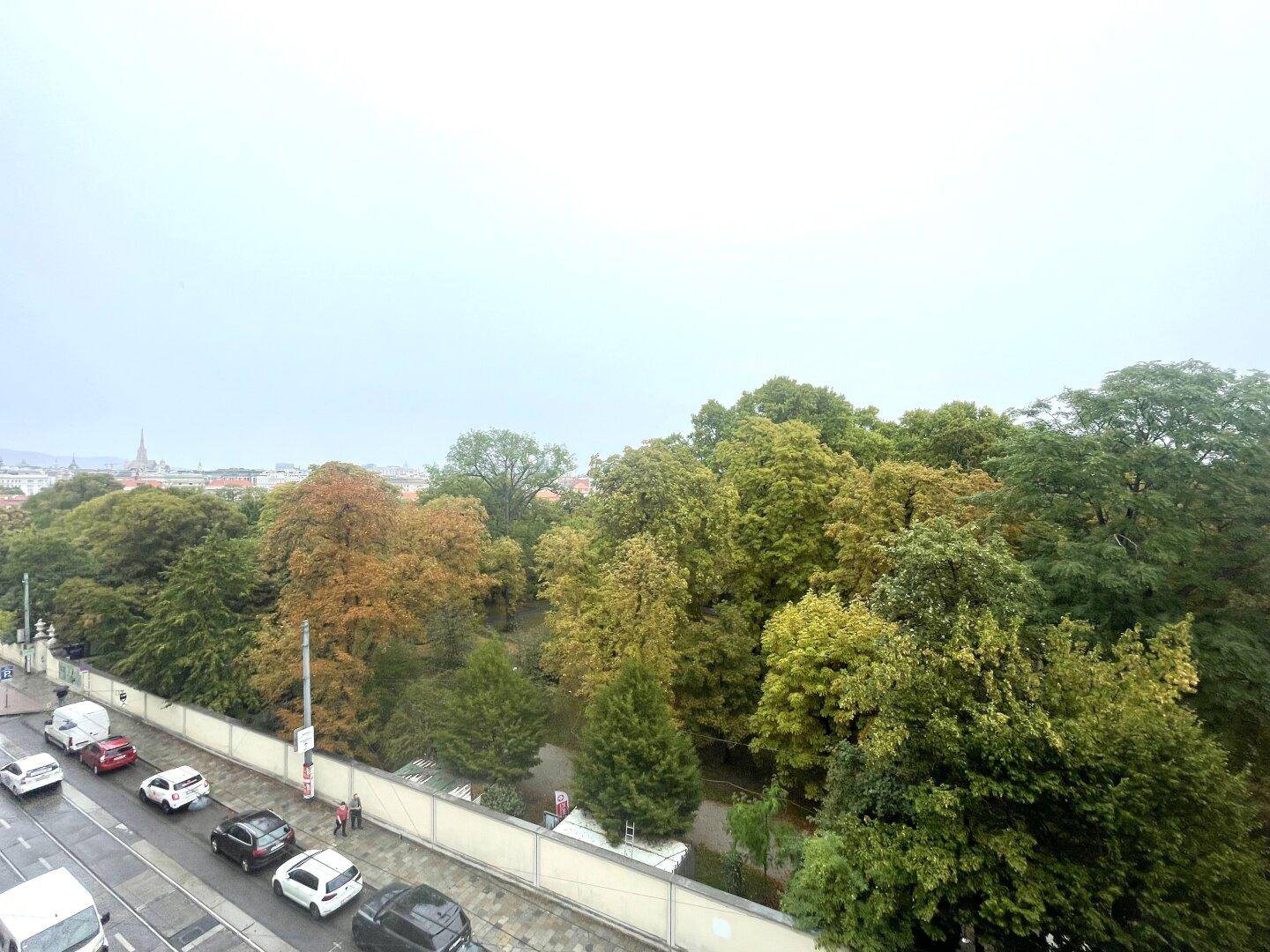 Blick aus dem Fenster auf eine belebte Straße, einen Park mit Bäumen und die Stadt im Hintergrund.