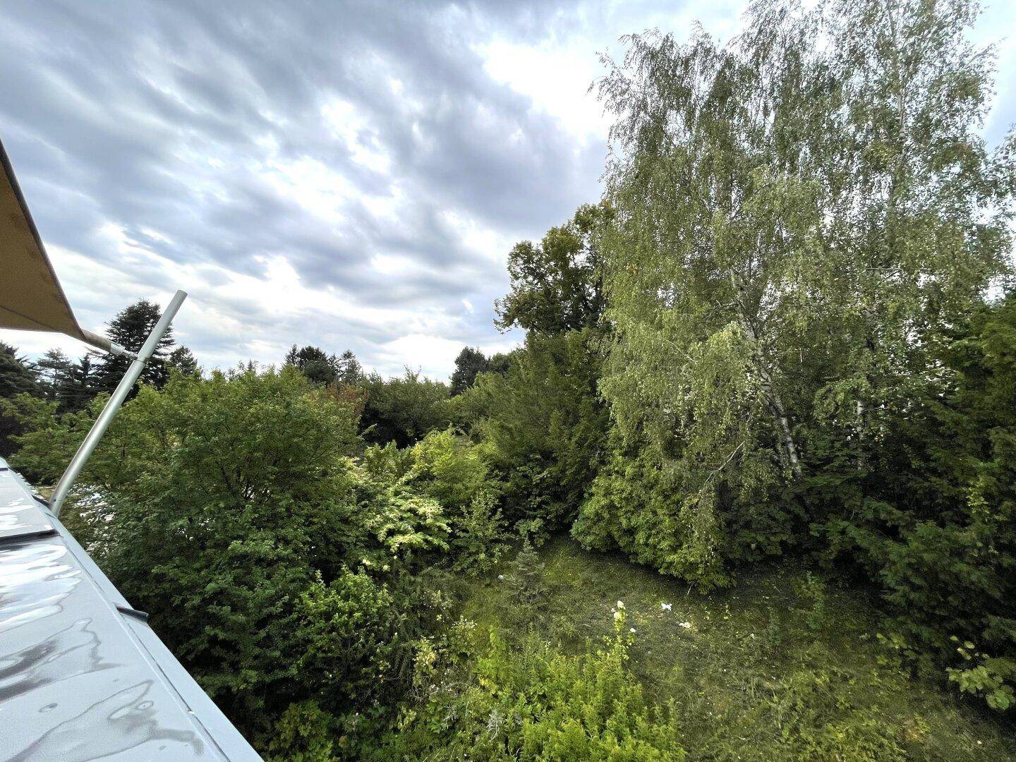 Malerischer Ausblick auf dichte grüne Bäume und Naturlandschaft unter bewölktem Himmel.