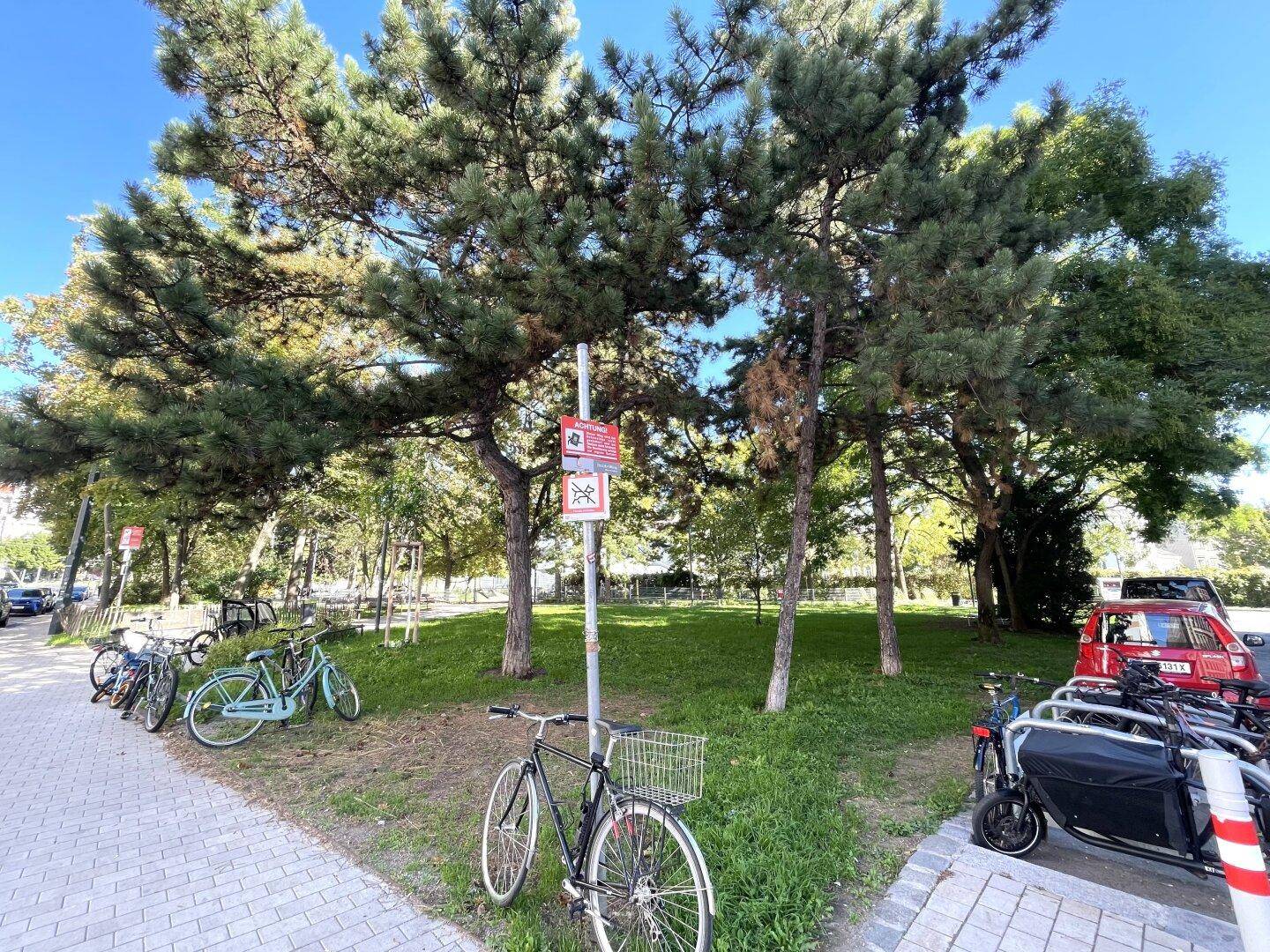 Grüne Parkanlage mit Bäumen, Rasenflächen und Fahrradabstellplätzen in der Umgebung.
