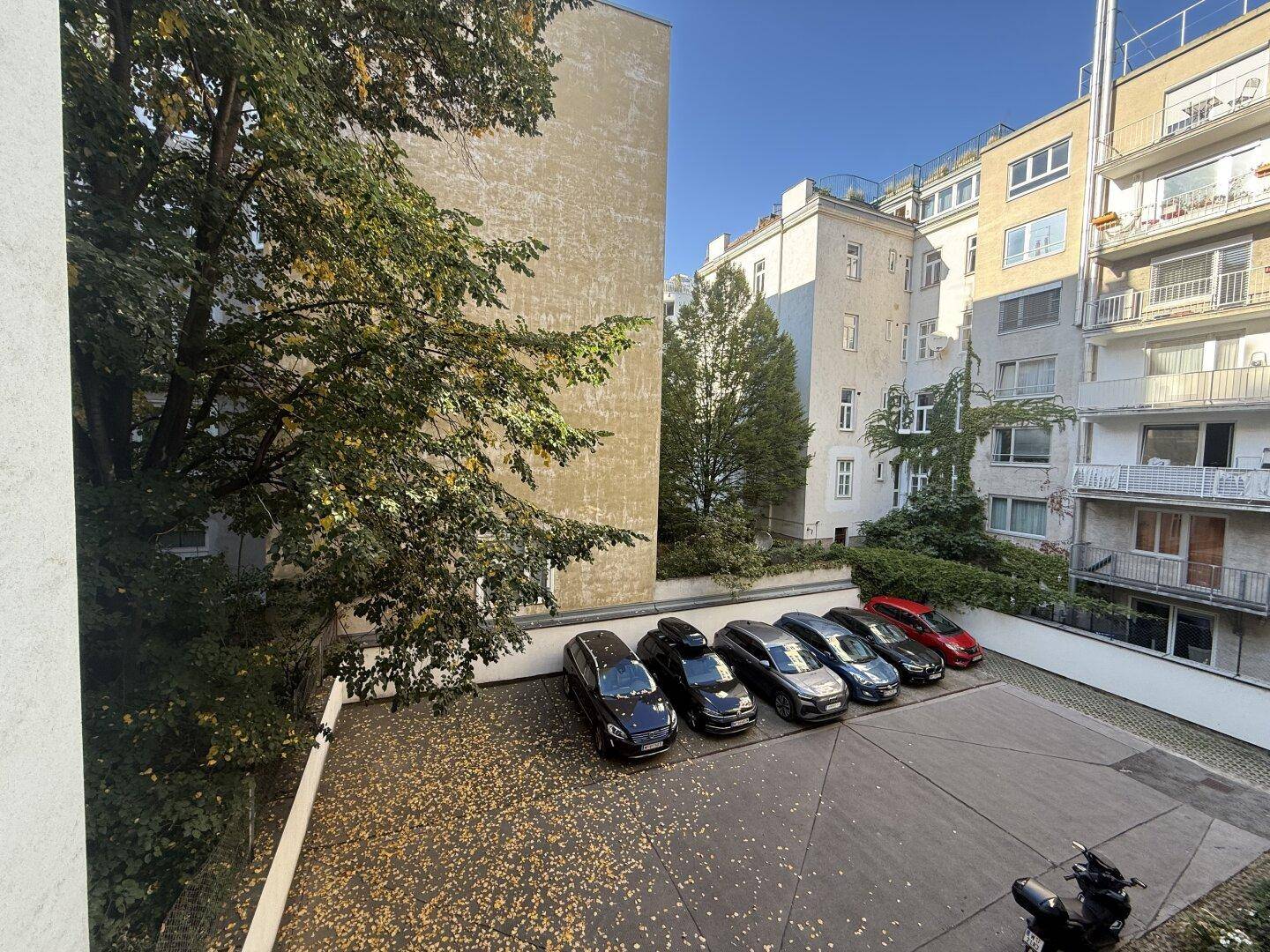 Blick auf einen Außenparkplatz, umgeben von Bäumen und Gebäuden, mit Herbstlaub.