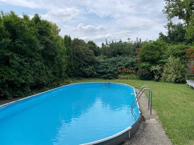 Großer Gartenbereich mit einem ovalen Aufstellpool, umgeben von üppigem Grün und Bäumen.