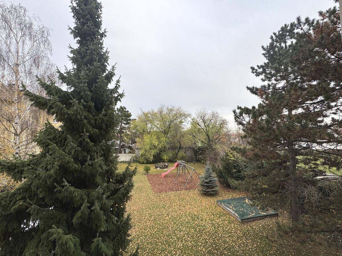 Gartenbereich mit Spielplatz, Rutsche und Schaukeln, umgeben von Bäumen.