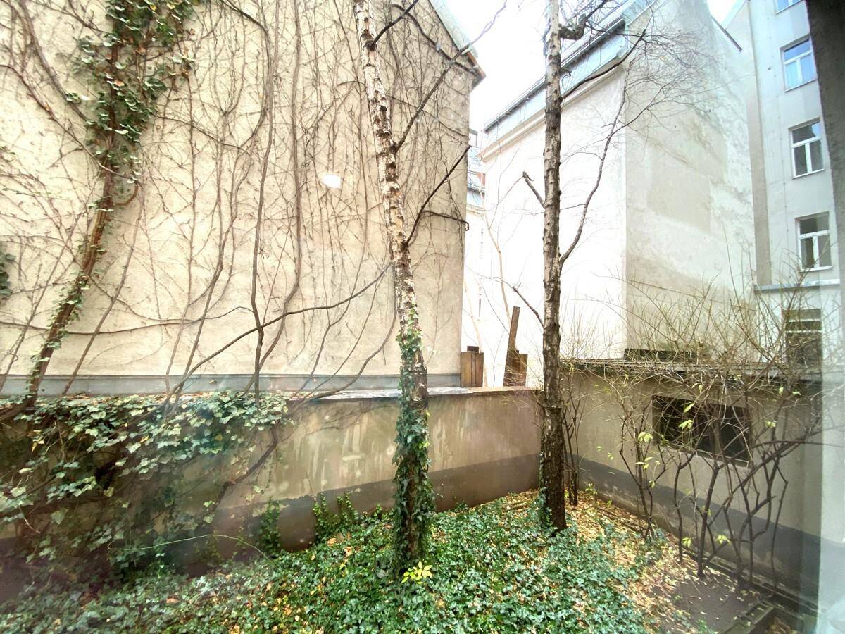 Blick aus dem Fenster auf einen begrünten Innenhof mit Bäumen und Efeu an den Wänden.