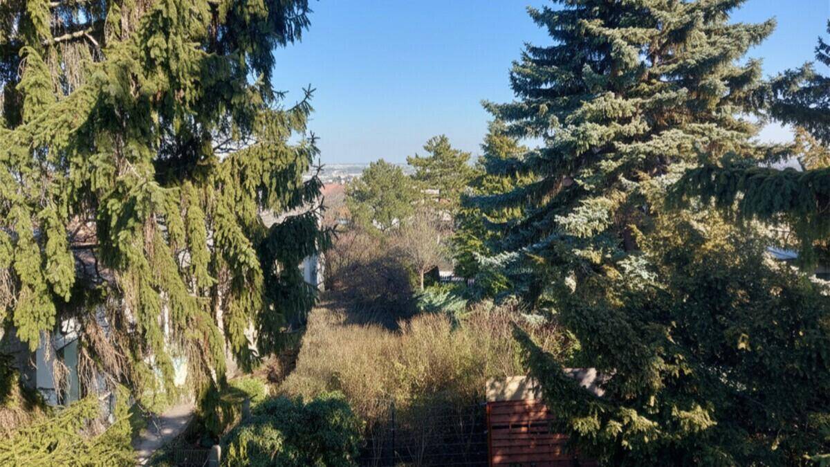 Weitblick über grüne Bäume und die umliegende Landschaft an einem sonnigen Tag.