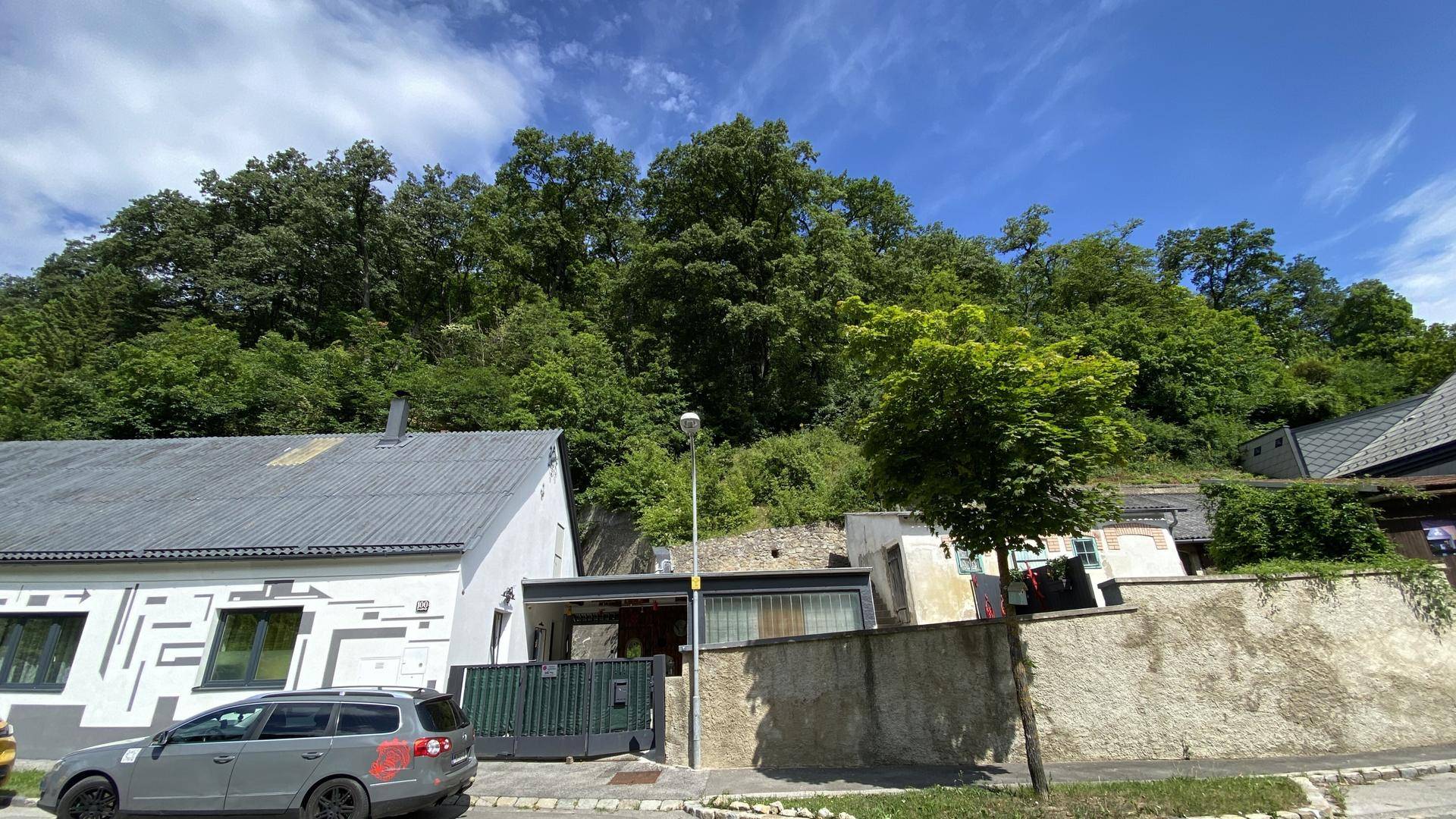 Blick von der Straße auf das Wohnhaus mit bewaldetem Hügel im Hintergrund und einem geparkten Auto.
