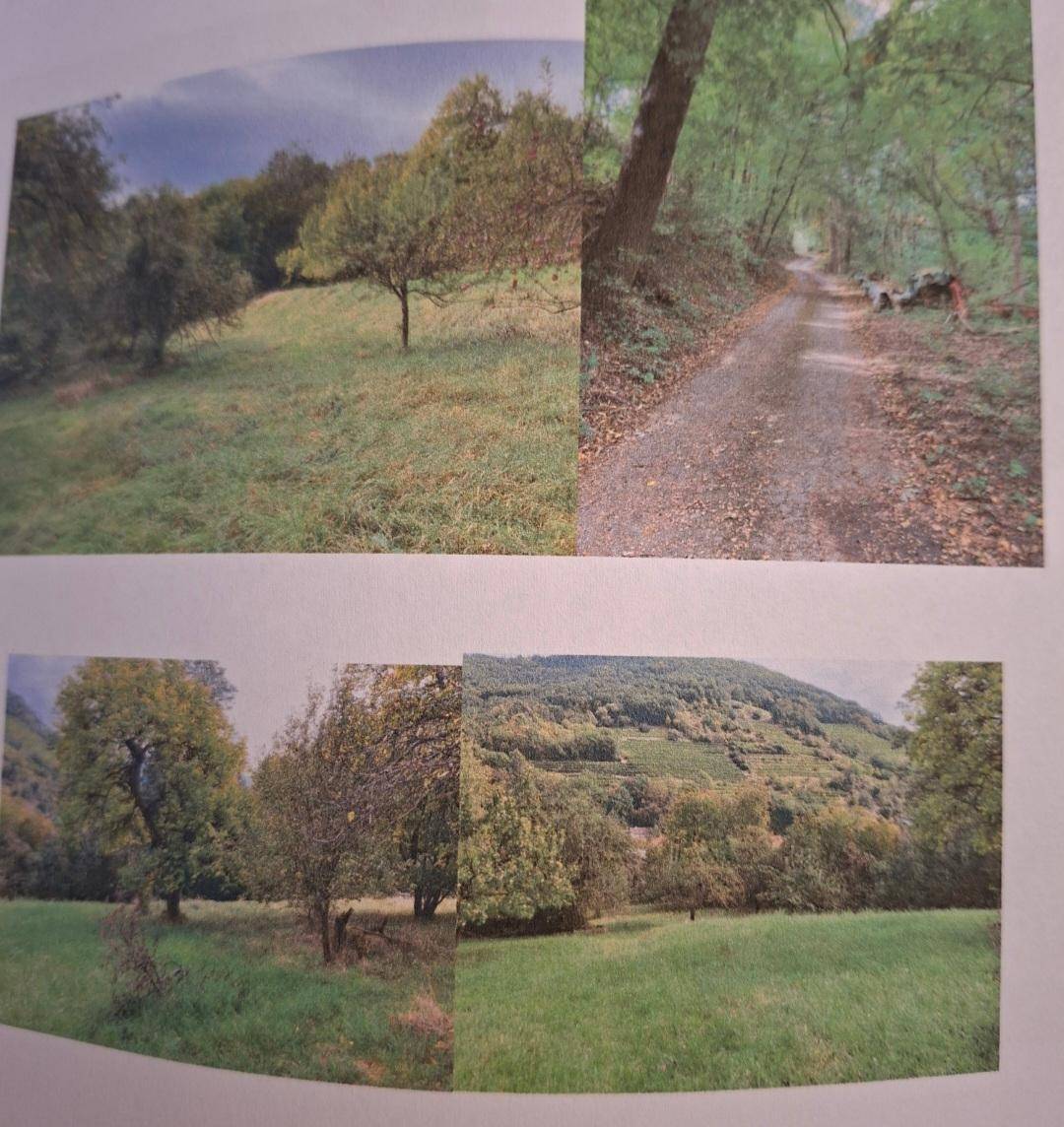 Slide 5