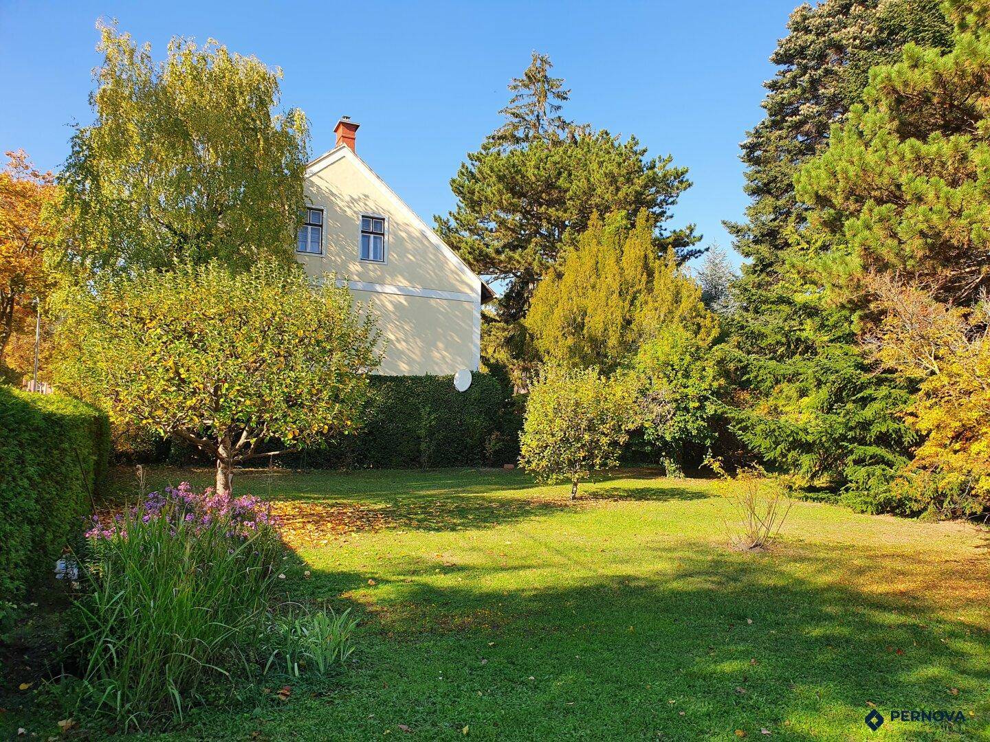 Großer, gepflegter Garten mit Rasenfläche und altem Baumbestand hinter dem Haus.