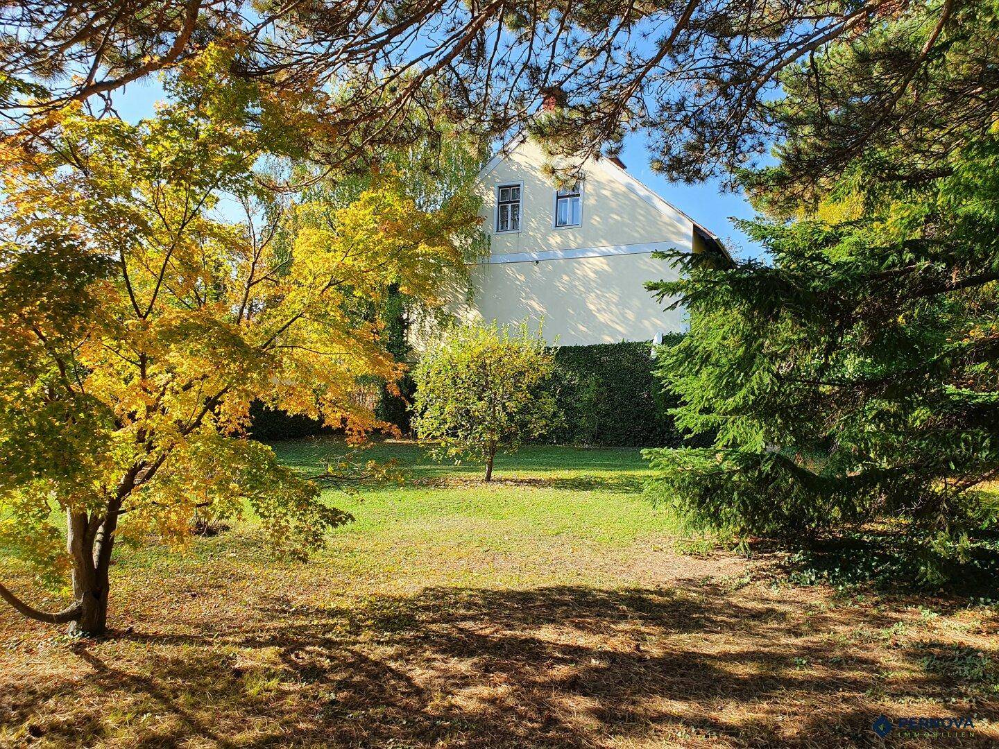 Sonnige Rasenfläche im Garten mit herbstlichen Bäumen und Blick auf das Haus.