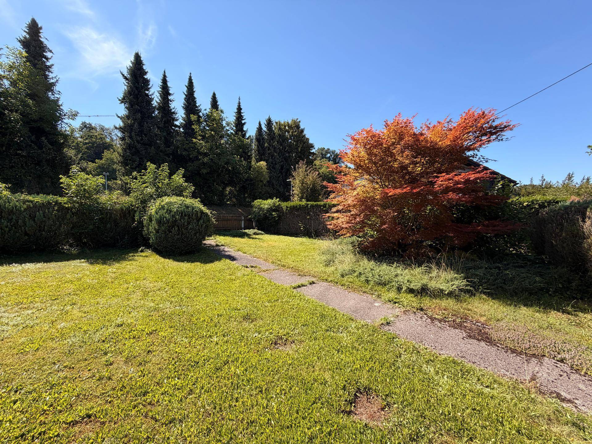 Weitläufiger Gartenbereich mit einem Pfad, gepflegten Hecken und einem leuchtend roten Baum.