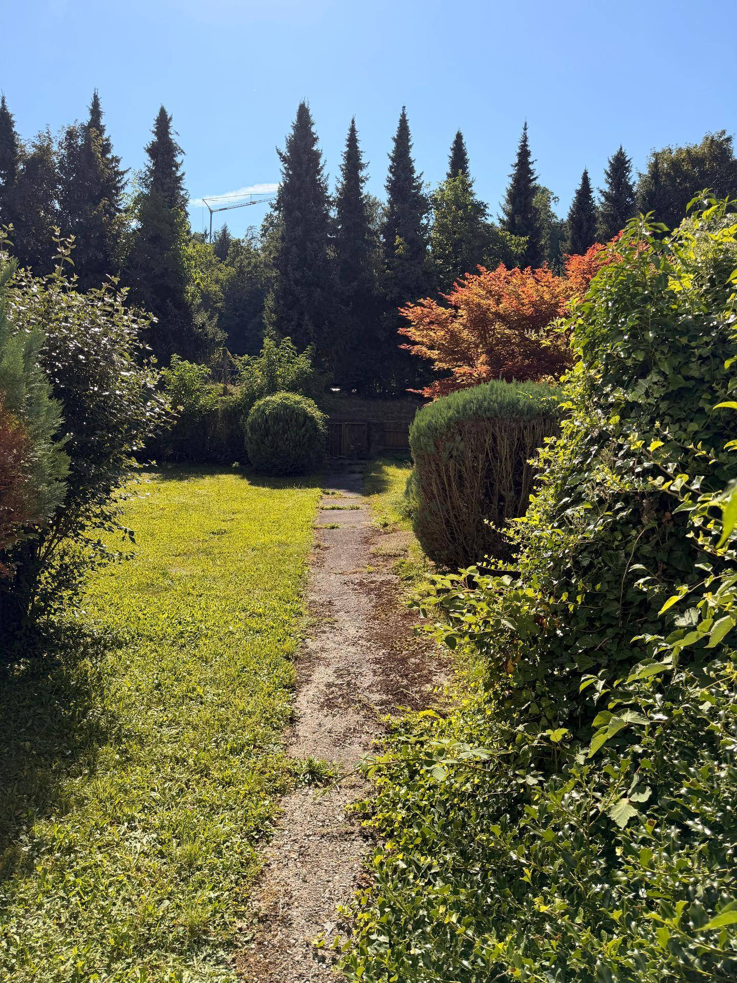 Schmaler Gartenweg führt durch üppiges Grün mit Hecken und Bäumen unter blauem Himmel.