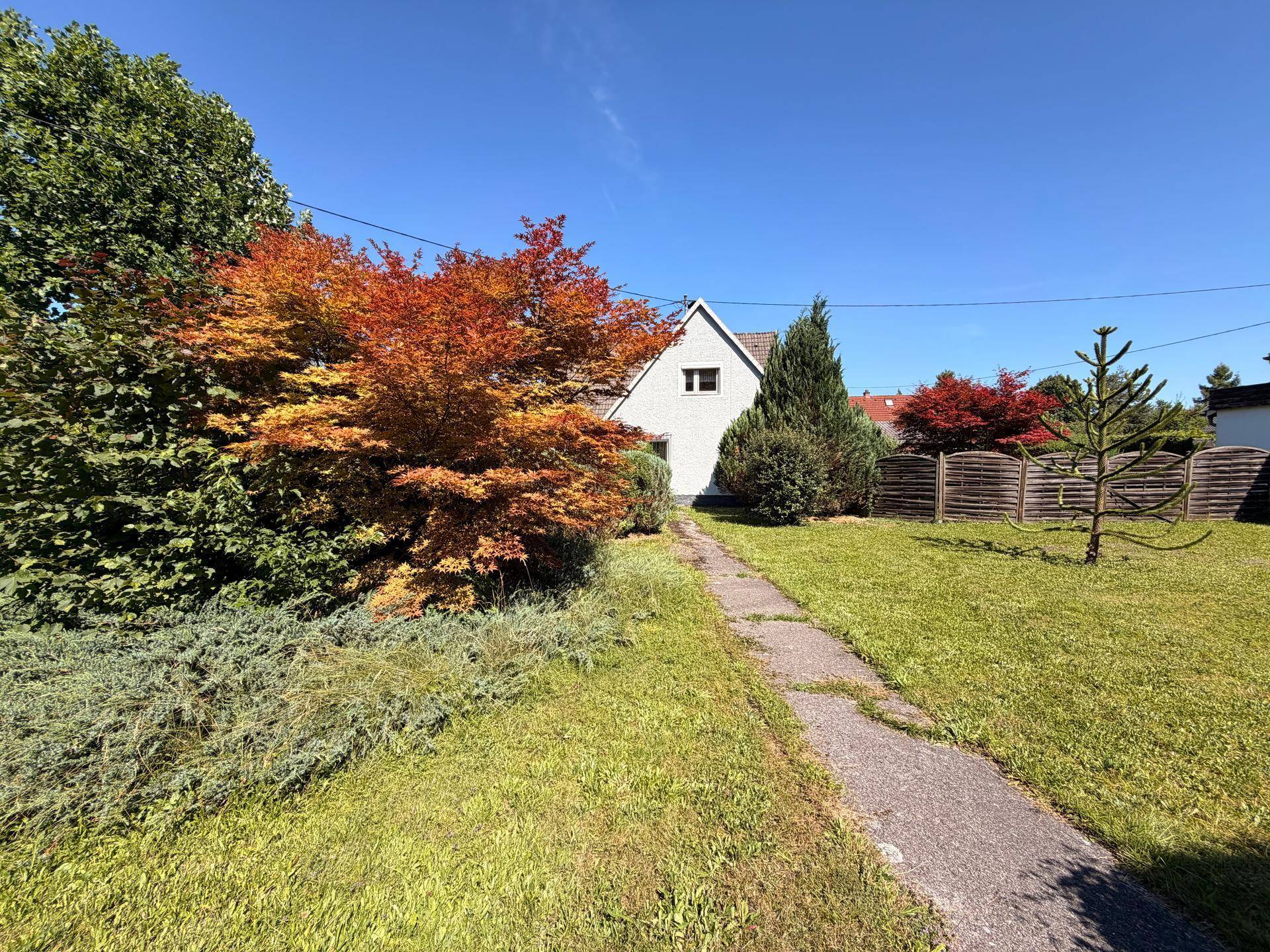 Gartenweg führt zum Haus, umgeben von Rasenflächen und einem auffällig rot gefärbten Baum.