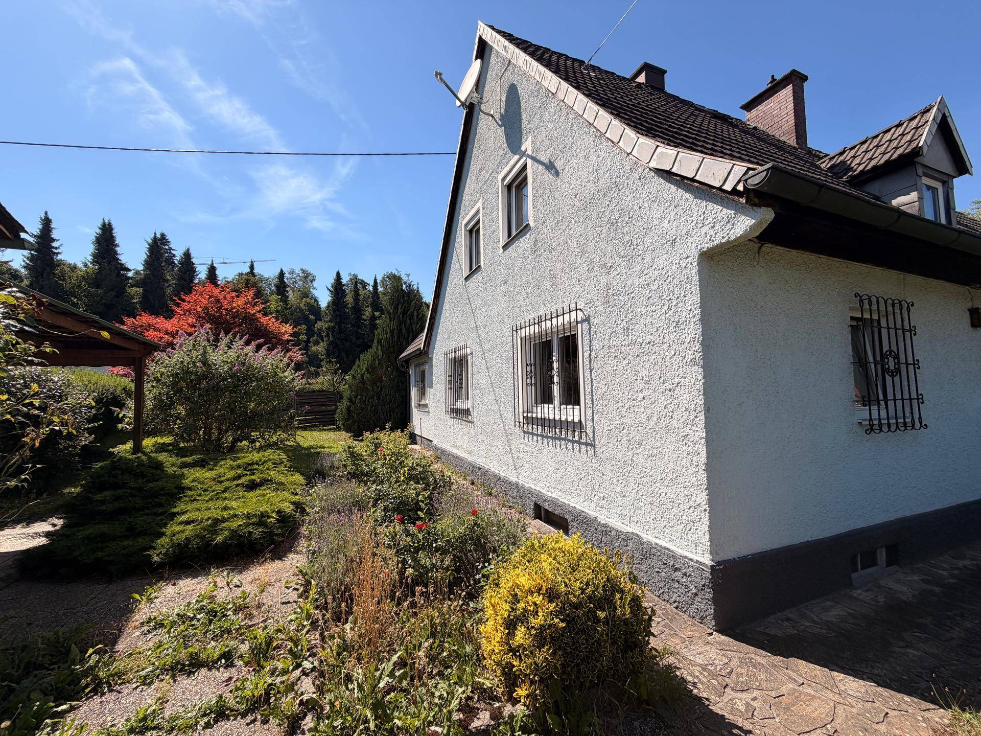 Seitenansicht des Hauses mit einem kleinen Gartenbereich und verschiedenen Pflanzen unter blauem Himmel.