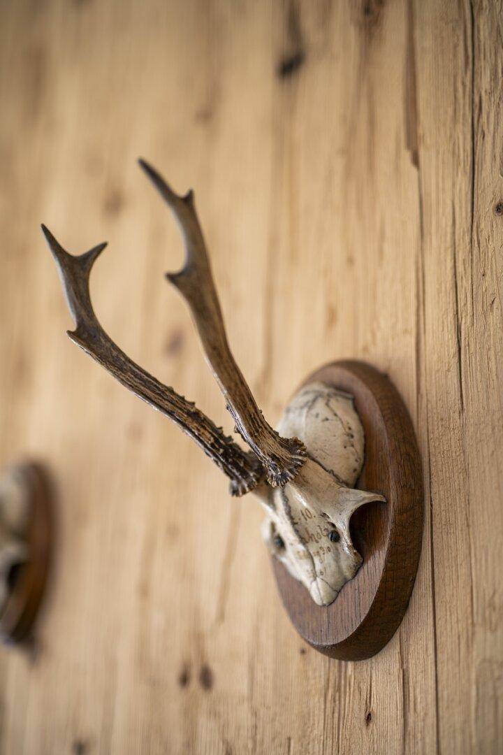 Nahaufnahme einer Geweihdekoration an einer rustikalen Holzwand, typisch alpiner Stil.