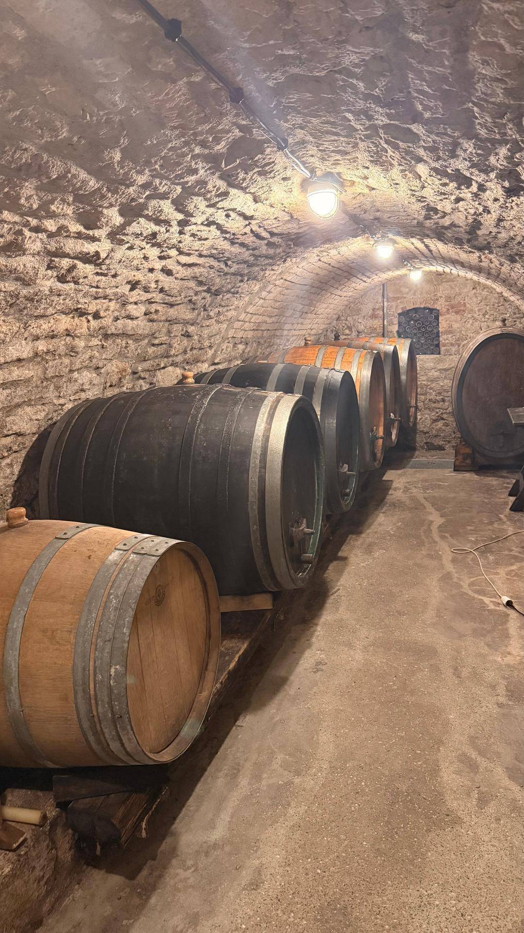 Historischer Weinkeller mit Gewölbedecke, Steinmauern und einer Reihe großer Holzfässer.