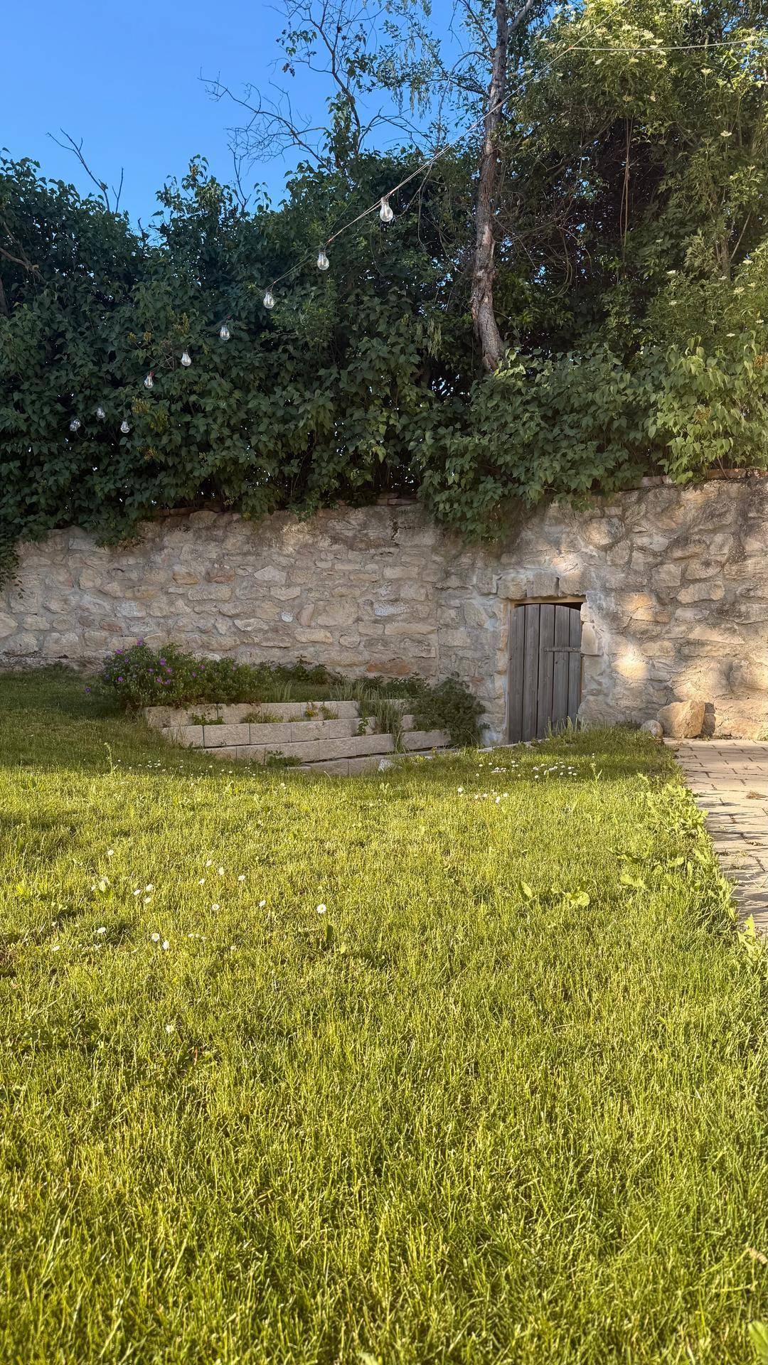 Gepflegter Gartenbereich mit Rasenfläche, einer Natursteinmauer und einer kleinen Holztür.