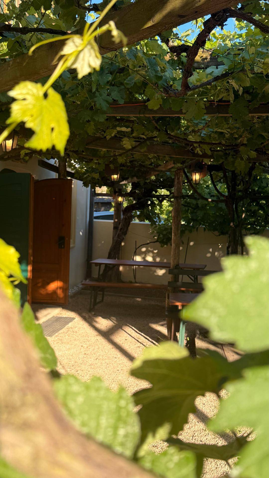Gemütlicher Außenbereich mit Tischen und Bänken unter einer dicht bewachsenen Weinpergola.