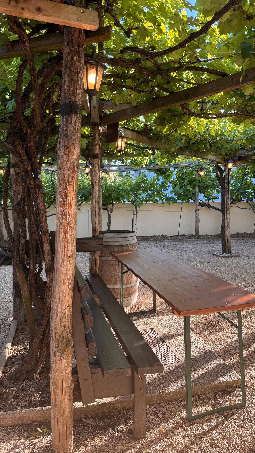 Idyllischer Außenbereich mit Holzbänken und Tischen unter einer grünen Weinpergola mit Lichterketten.