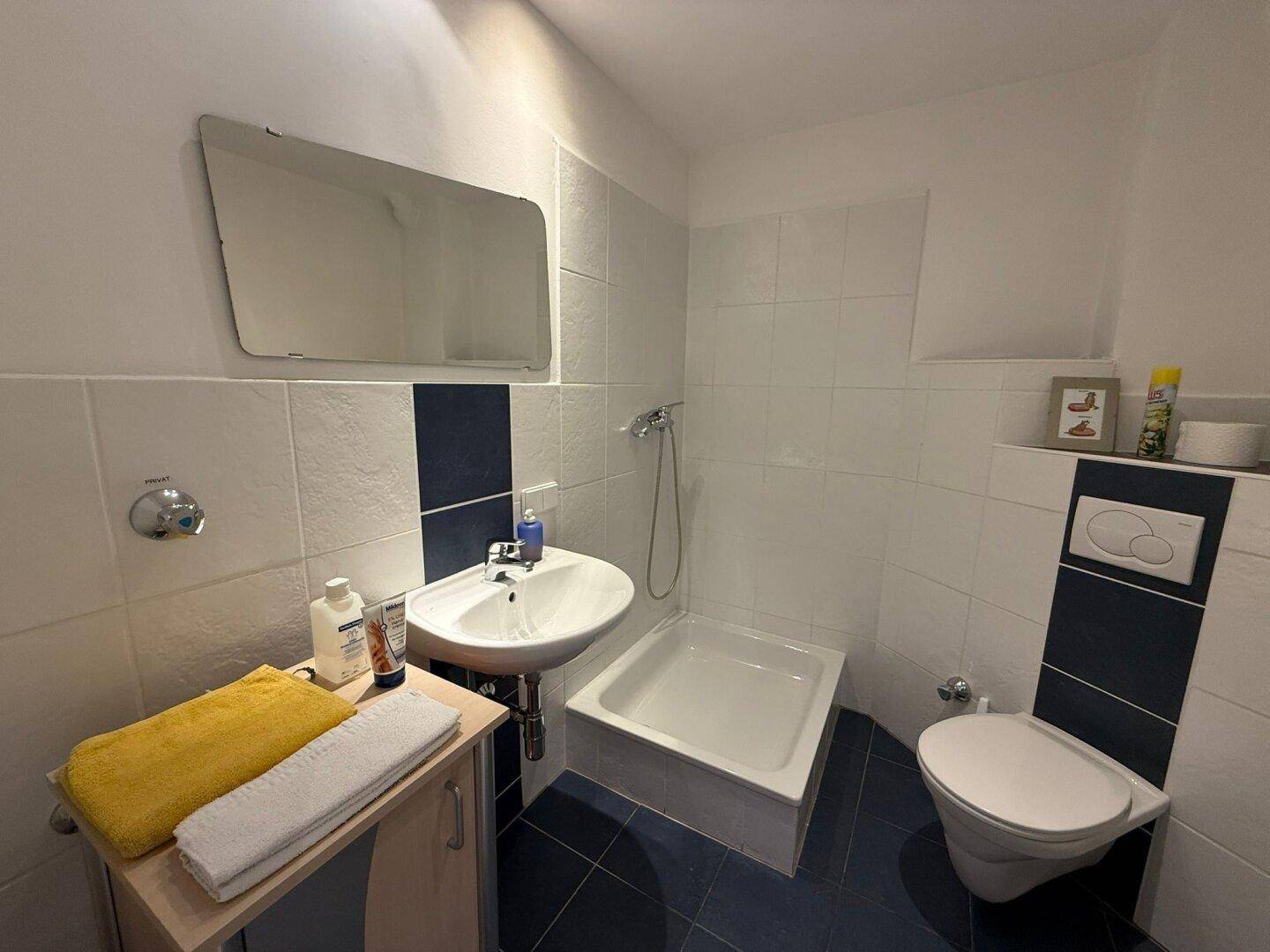 Modernes Badezimmer mit Dusche, WC, Waschbecken und blau-weißen Fliesen.