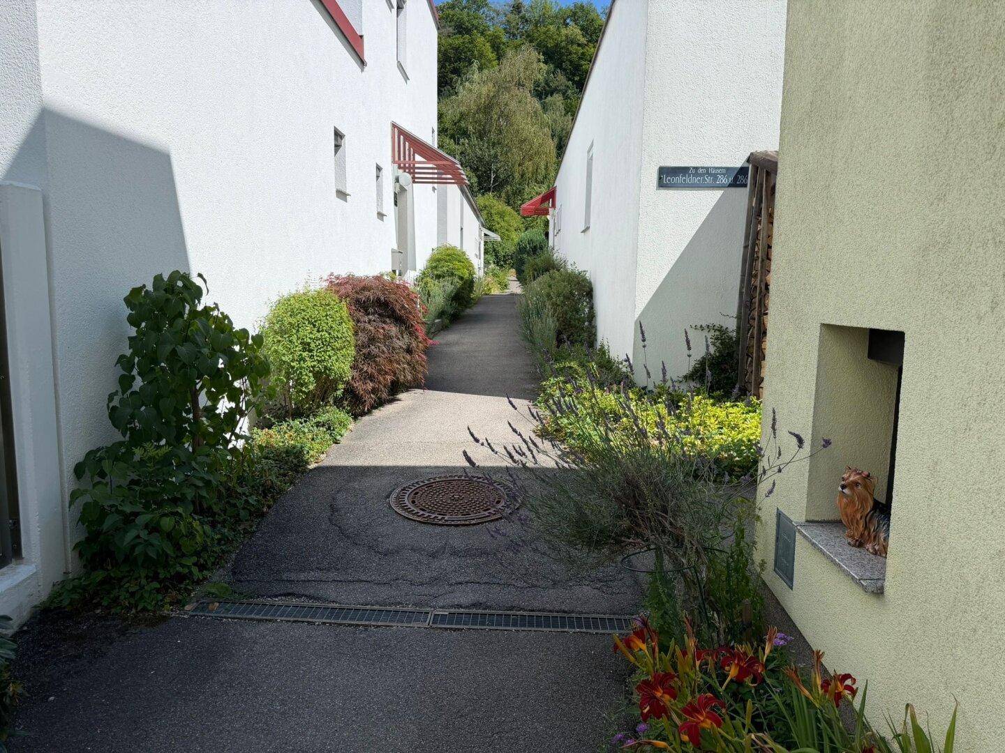 Schmaler Weg zwischen den Häusern mit Bepflanzung und einem Gullydeckel.