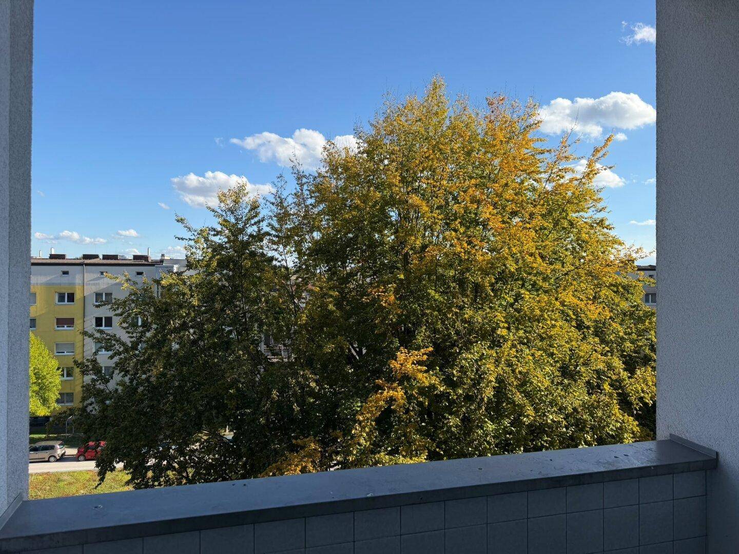 Balkon mit Blick auf einen großen Baum und die umliegenden Wohngebäude unter blauem Himmel.