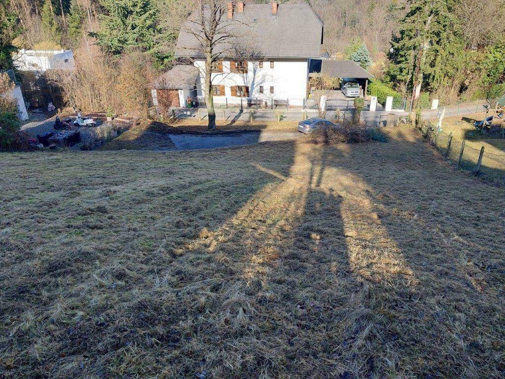 Ländliches Anwesen mit großem Grundstück, umgeben von Bäumen und Natur, unter sonnigem Himmel.