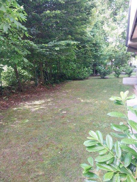 Garten3